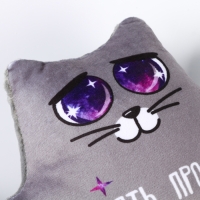 УЦЕНКА Автоигрушка на присосках &laquo;Понять, простить и позвонить&raquo;, котик