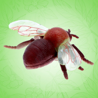 Набор насекомых &laquo;Лесные&raquo;, 5 штук