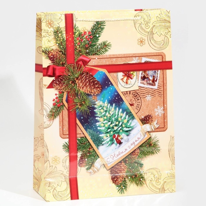 Пакет подарочный новогодний ламинированный &laquo;С Новым годом!&raquo;, L 28 х 38 х 9 см