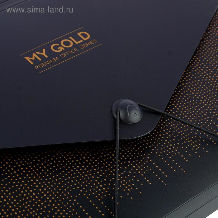 Папка-кратотека 12 отделений, А4, на резинке, deVENTE My gold, 700 мкм