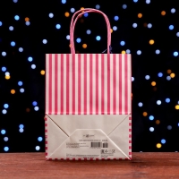 Новый год. Пакет подарочный крафтовый "Зима время чудес" 18 х 22,3 х 10 см