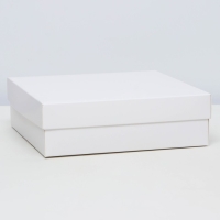 Коробка подарочная складная, упаковка, крышка-дно, белая, 20 х 20 х 6 см Коробка подарочная складная, упаковка, крышка-дно, белая, 20 х 20 х 6 см