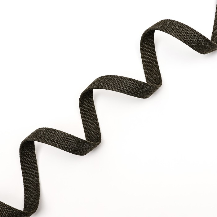 Поводок брезентовый 3 м х 2 см, тёмно-зелёный