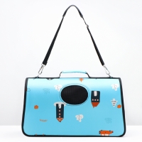 Сумка - переноска для животных "Путешественник", голубая, размер L, 53 х 21 х 29 см Сумка - переноска для животных "Путешественник", голубая, размер L, 53 х 21 х 29 см