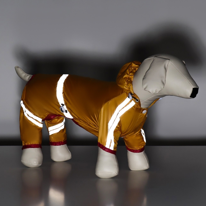 Комбинезон для собак, демисезонный, размер S (ДС 21-23, Ог 31-33, ОШ 23-25 см), жёлтый Комбинезон для собак, демисезонный, размер S (ДС 21-23, Ог 31-33, ОШ 23-25 см), жёлтый