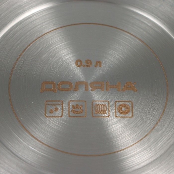 Ковш из нержавеющей стали &laquo;Грейт&raquo;, 0,9 л, индукция