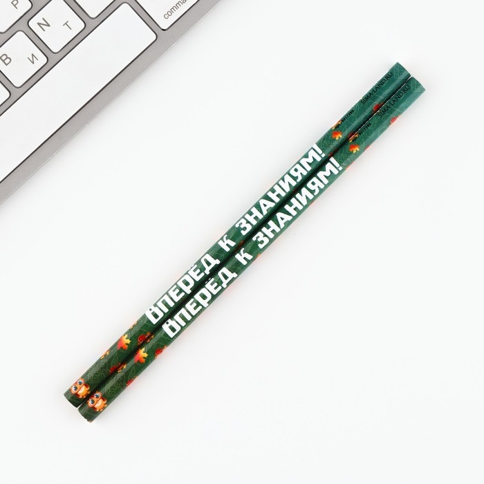 Подарочный набор на выпускной «Выпускник! Дети» 5 предметов Подарочный набор на выпускной «Выпускник! Дети» 5 предметов