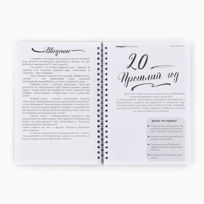 Новый год. Планинг А5, 80 листов, на гребне &laquo;365 новых дней&raquo;, в мягкой обложке