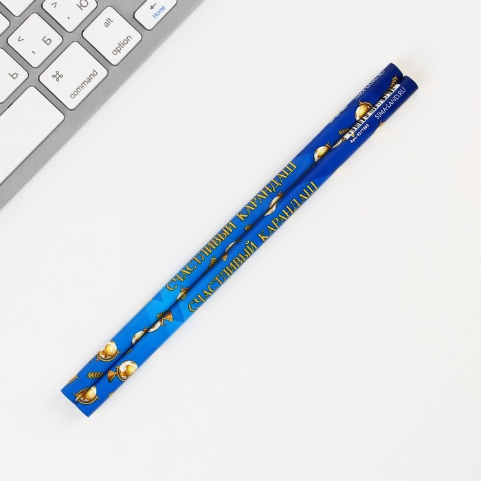 Подарочный набор на выпускной &laquo;Прощай школа&raquo; блокнот,ластик, 2 карандаша HB, значок,линейка