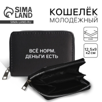 Кошелек женский «Деньги есть» 12,5х9х2 см Кошелек женский «Деньги есть» 12,5х9х2 см