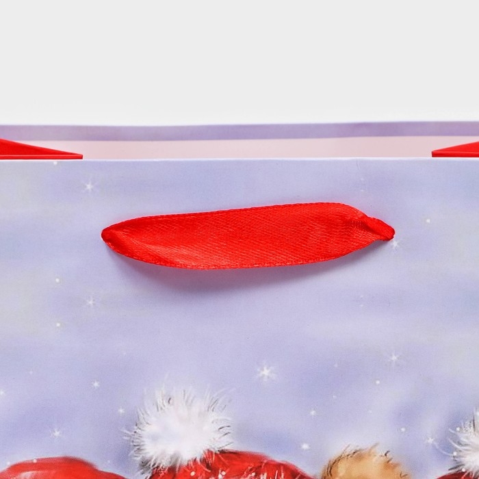 Новый год. Пакет подарочный, ламинированный, "Медвежата",18 х 23 х 10 см.