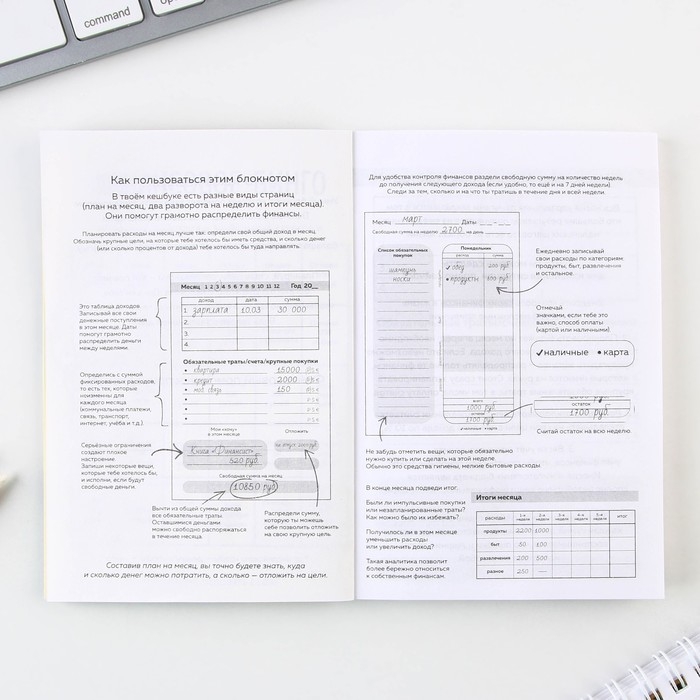 Умный блокнот CashBook А6, 68 листов &laquo;Советы енотика&raquo;