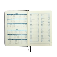 Ежедневник датированный 2025 года, A5, 168 листов в линейку, кожзам "Небраска", золотой срез, черный