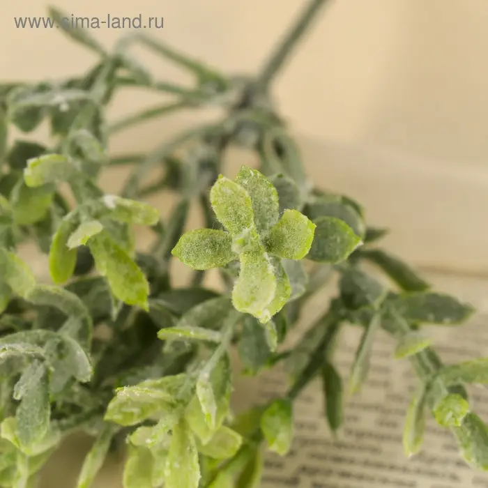 Букет искусственный &laquo;Зелень&raquo;, с напылением, 22 см (цена за 1 шт., фасовка 6 шт.)