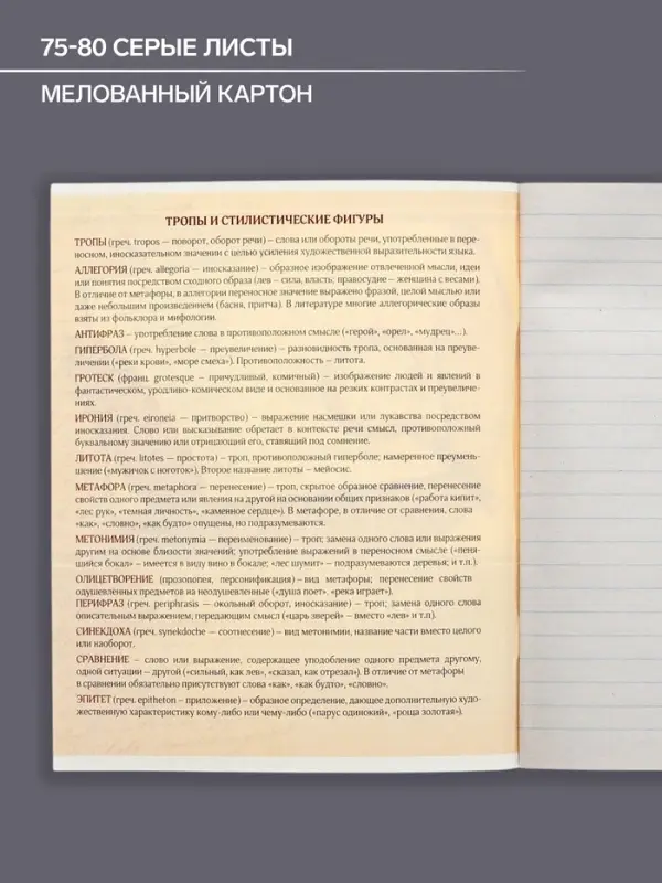 Тетрадь предметная 48 листов в линейку Calligrata, &laquo;Металл. Литература&raquo;, обложка мелованный картон, серые листы