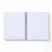 Тетрадь А5, 96 листов на спирали &laquo;Аниме девочка кошка&raquo; уф лак