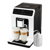 Автоматическая кофемашина Evidence EA891110 с капучинатором