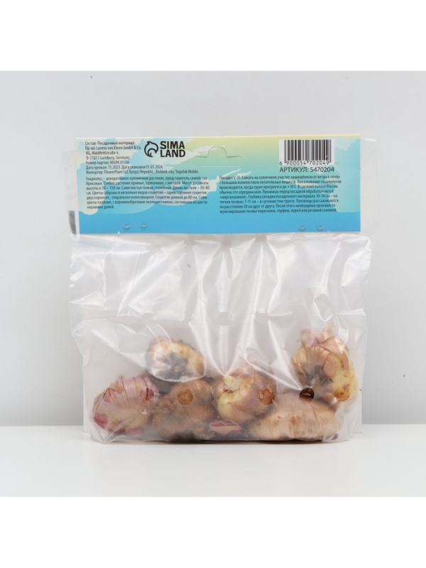 Гладиолус Низкорослый (мини) смесь сортов, луковица цветов в пакете с перфорацией, р-р 10/+ , 7 шт.