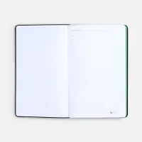 Ежедневник Nice Twice, недатированный, черный с ярко-зеленым