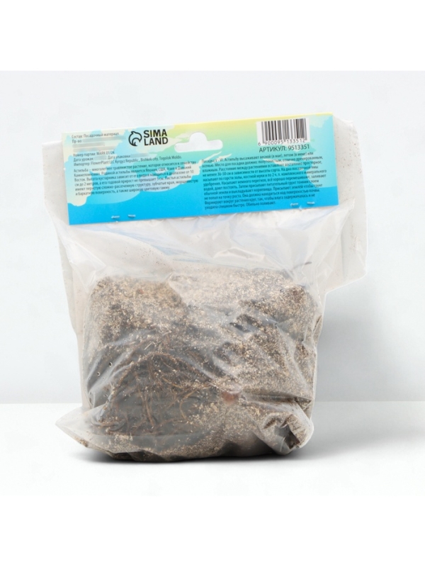 Астильба Арендса Diamant многолетник, корневище в торфогрунте, р-р II, 2 шт.