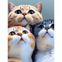 Алмазная мозаика с полным заполнением на холсте &laquo;Коты&raquo;, 30&times;40 см