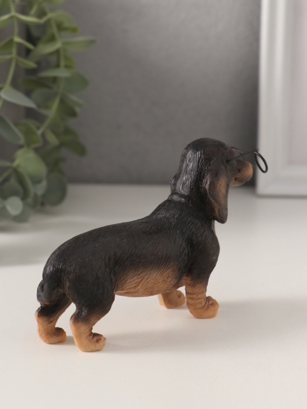 Сувенир полистоун "Такса в очках" 11,5х4х7,5 см