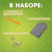 Набор для раскопок &laquo;Раскопай динозавра&raquo;