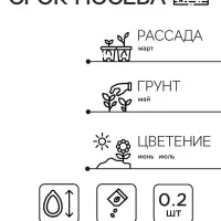 Семена  цветов Маттиола Левкой "Букетная", смесь окрасок, О, 0,2 г