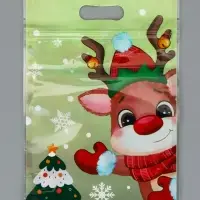 Пакет подарочный, с zip-lock застежкой, "Друзья дедушки Мороза", 15х22см МИКС
