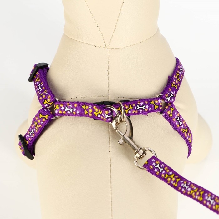 Комплект Комплект "Звёздные косточки", ширина 1 см, поводок 120 см, шлейка 23-35 см, фиолетовый