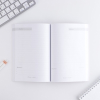 Ежедневник &laquo;Лучший воспитатель&raquo; в мягкой обложке, формат А5, 80 листов