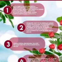 Восковые полоски Secret Beauty для депиляции лица, с маслом розы, 10 шт