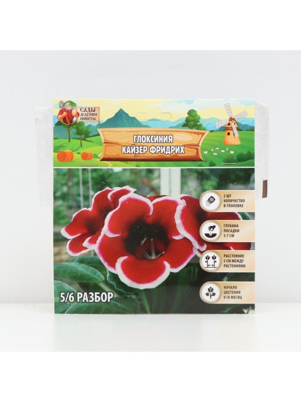 Глоксиния &laquo;Кайзер Фридрих&raquo;, многолетник, комнатный, луковица в пакете с перфорацией, р-р 5/6, 2 шт.