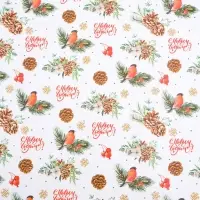 Бумага упаковочная глянцевая двусторонняя "Снегири", 70 х 100 см