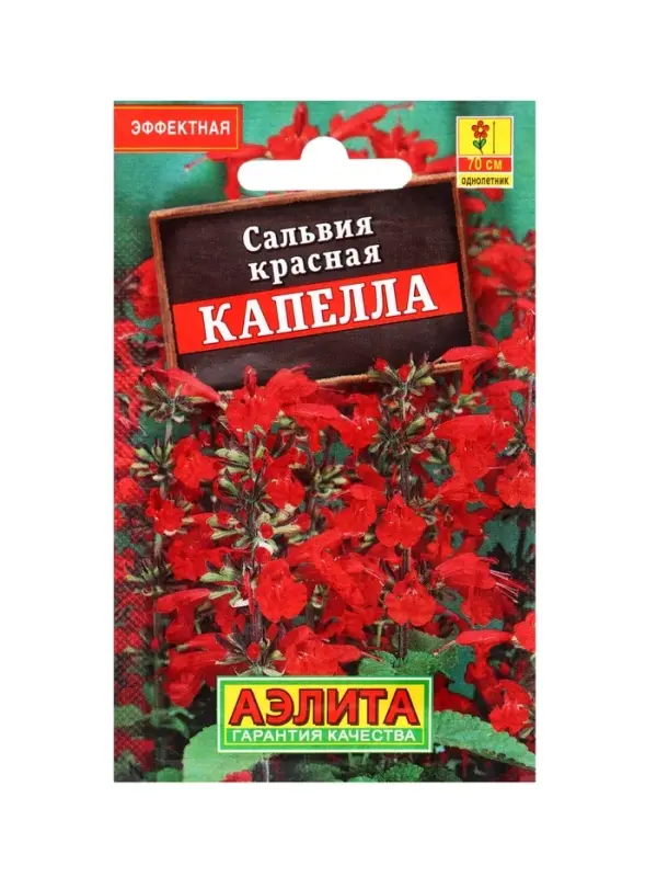 Набор Семена цветов для сада 20 шт. (174019262) ВБ