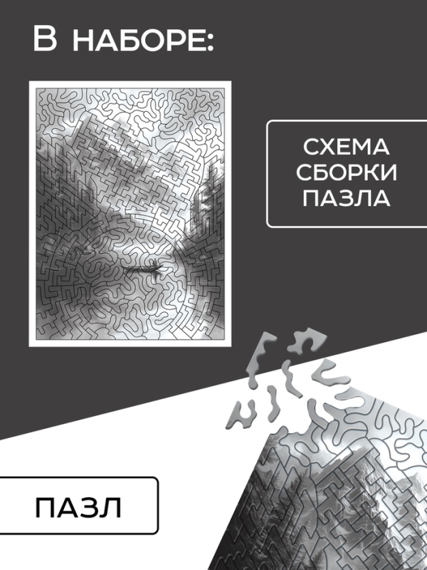 Пазл фигурный &laquo;Чёрное и белое&raquo;, 300 деталей