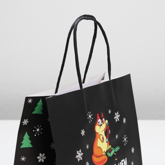 Пакет подарочный новогодний &laquo;Это лучше, чем ничего&raquo;, 22 х 22 х 11 см