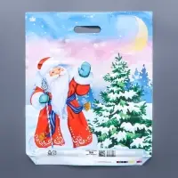 Пакет &laquo;Привет от Мороза&raquo;, полиэтиленовый с вырубной ручкой, 45&times;38 см