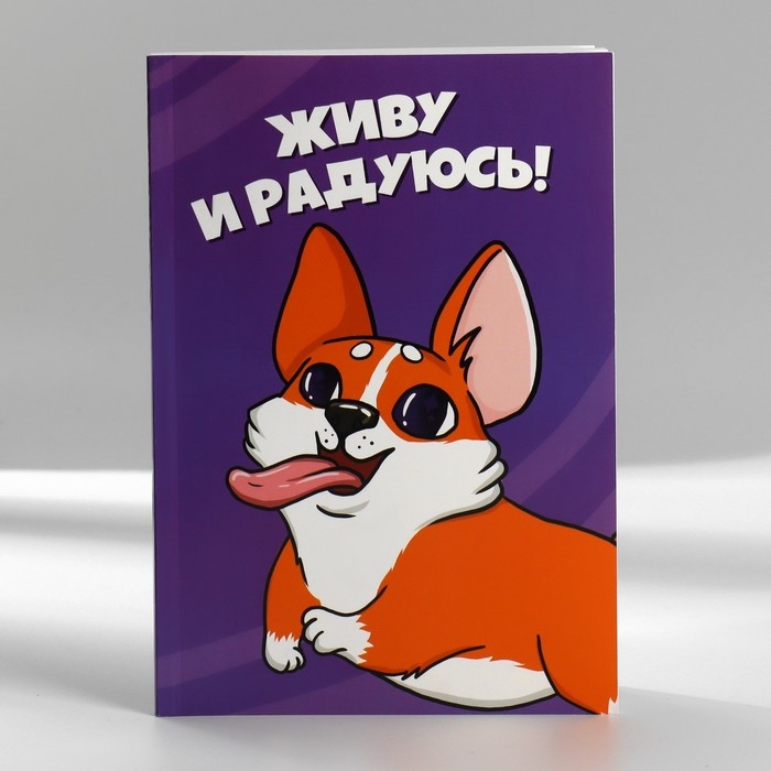 Подарочный набор в портфеле: ежедневник А5, магнитные закладки и ручка «Для тех, у кого лапки» Подарочный набор в портфеле: ежедневник А5, магнитные закладки и ручка «Для тех, у кого лапки»