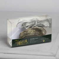 Гирлянда &laquo;Занавес&raquo; 1.6 &times; 1.6 м роса, IP20, серебристая нить, 160 LED, свечение мульти, 8 режимов, 220 В