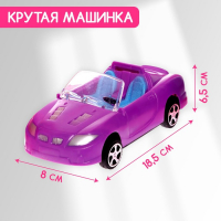 Дом для кукол &laquo;Кукольный дом&raquo; с аксессуарами