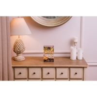 Сейф-книга "Остров сокровищ", 5,5х11,5х18 см, ключевой замок Сейф-книга "Остров сокровищ", 5,5х11,5х18 см, ключевой замок