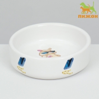 Миска керамическая для грызунов "На стиле" 80 мл 8,5 х 3 см Миска керамическая для грызунов "На стиле" 80 мл 8,5 х 3 см