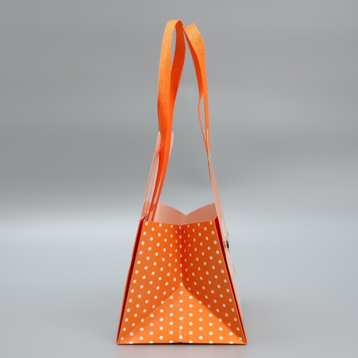 Переноски для цветов &laquo;Дружок&raquo;, 20 &times; 12 &times; 12 см