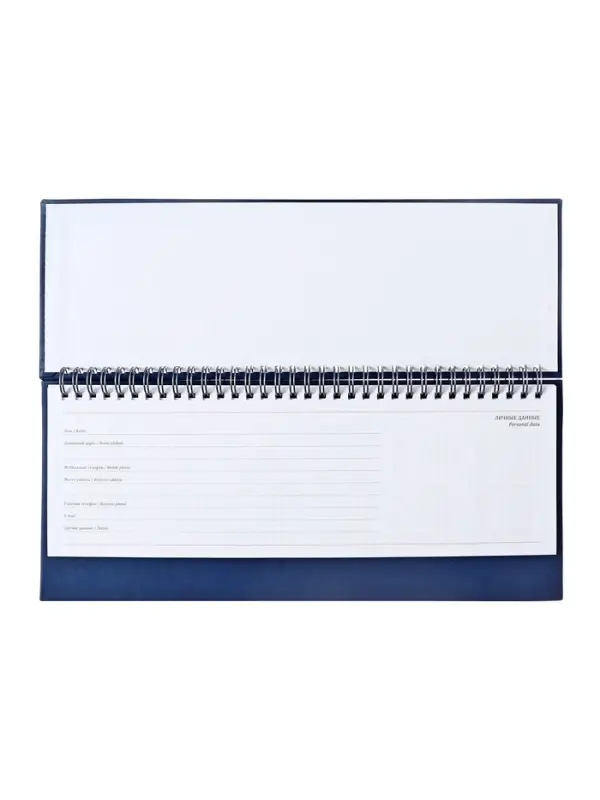 Планинг недатированный 100 х 300 мм, 56 листов, на гребне, обложка из искусственной кожи, синий
