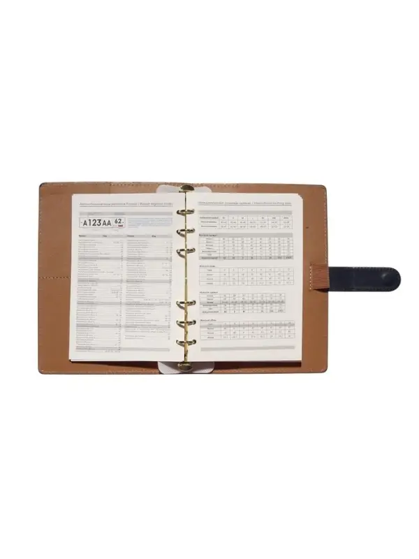 Органайзер на кольцах, C6, с хлястиком, 80л, линия, к/зам, Синий