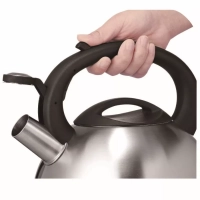 Чайник для плиты из нержавеющей стали C7922024, 3 л