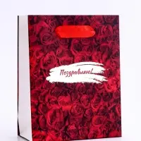 Пакет подарочный вертикальный &laquo;Поздравляю&raquo;, S 12&times;15&times;5.5 см