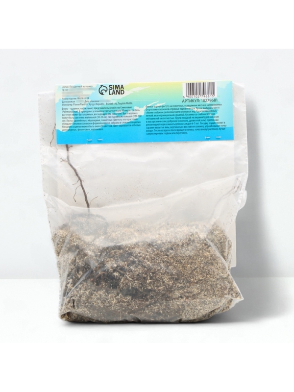 Флокс &laquo;Бэби Фейс&raquo; корневище в пакете с торфогрунтом, р-р I, 2 шт.