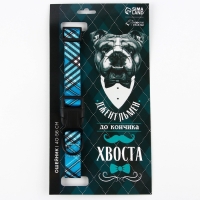 Ошейник &laquo;Джентльмен&raquo;, застёжка - фастекс, 2.5 см, 40-55 см